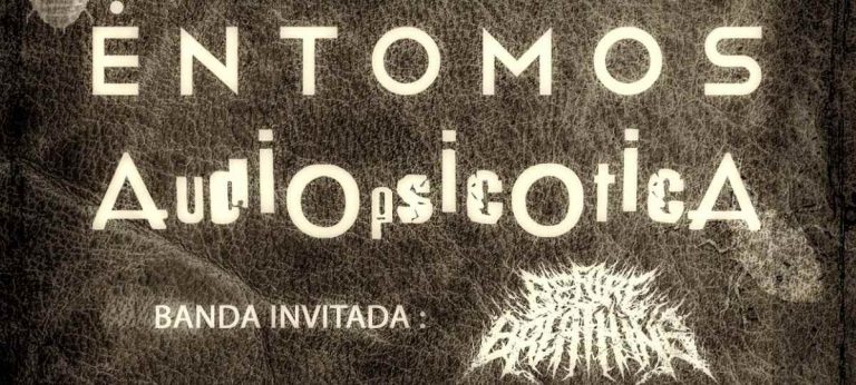 28 de Diciembre: Stressed Bug I – Entomos, Audiopsicotica y Before Breathing en Rancagua